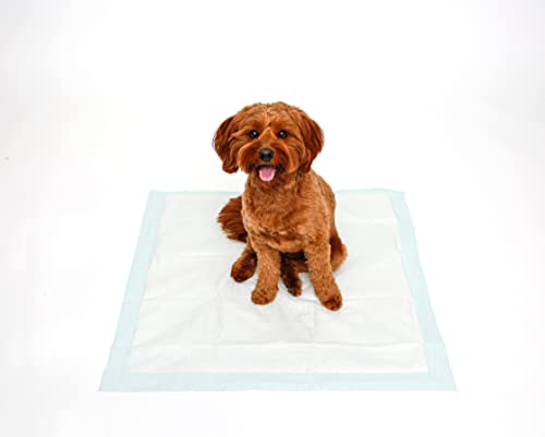 Hartz Dog Pads with Flash-Dry Technology, Odor Eliminating and Superior Absorption