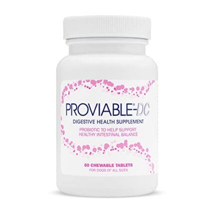 Digestive Health Support for Dogs with Proviable Probiotic Supplement