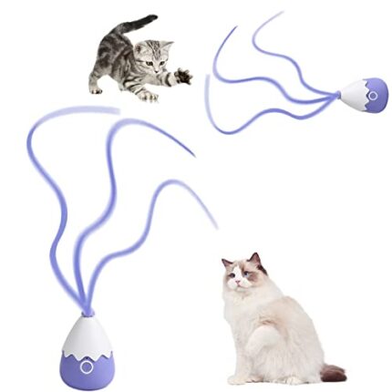 Upgrade With An Interactive Cat Toy Made Of Silicone