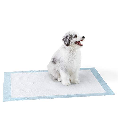 Dog and Puppy Pee Pads | Indoor, Outdoor & Car Use | 50 X-Large Pads