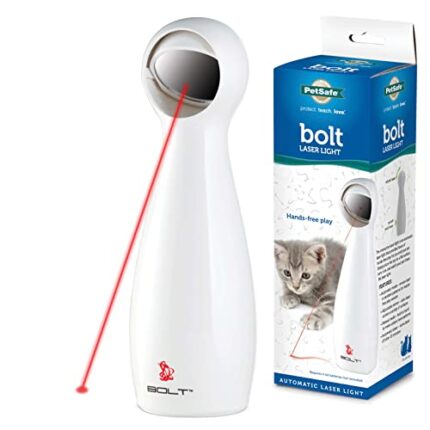 PetSafe Class IIIa Laser | Automatic Toy for Cats