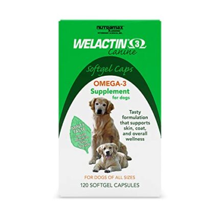 Healthy Skin & Coat Care for Dogs with Welactin Omega-3 Supplement