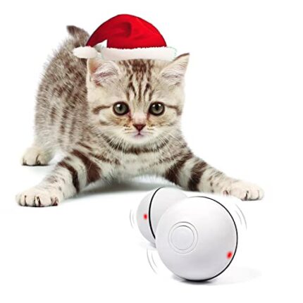 Rechargeable Self Rotating Cat Ball - Automatic Direction Change