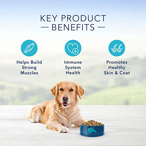 Blue Buffalo Natural Protection Formula Dog Food - Get It Now!