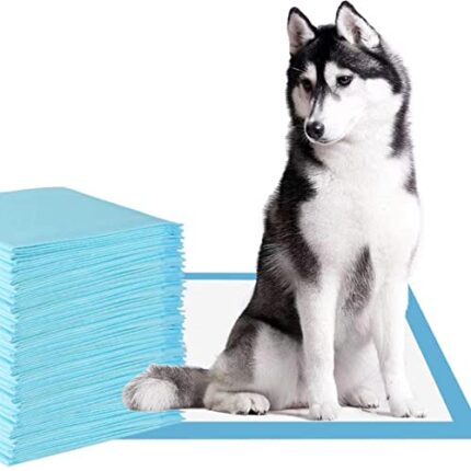 'Large Dog Pee Pads | 10 Count Puppy Training Pads | Leak-Proof Wee Wee Pad'