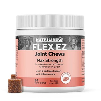 All-Natural Joint Support Supplements for Your Dog's Comfort | Flex-EZ