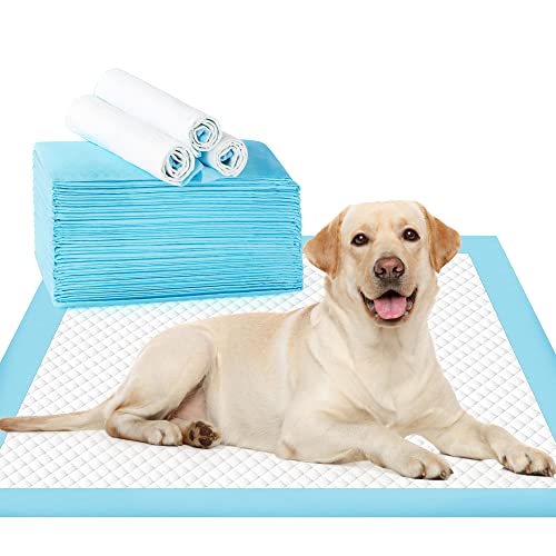 Super Absorbent & Quick-Drying Dog Pee Pads | Leak-Proof & 6-Layer Design