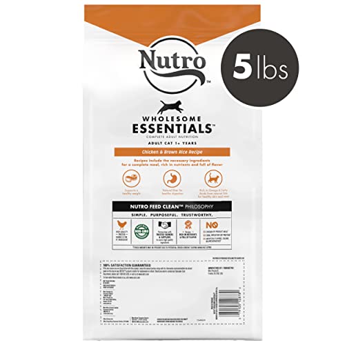 Delicious Indoor Cat Food | NUTRO Wholesome Essentials