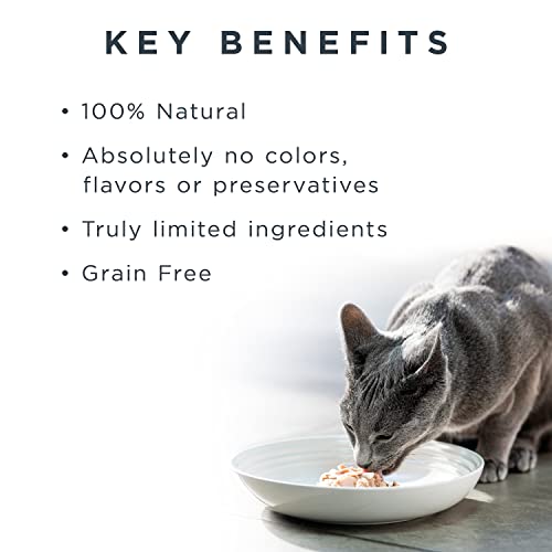 Grain-Free Natural Cat Food, Real Protein | Reveal Wet Cat Food