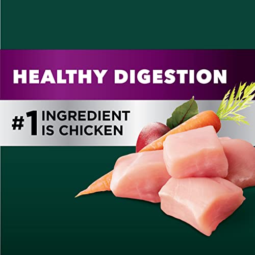 Advanced Health Healthy Digestion Support Chicken Formula