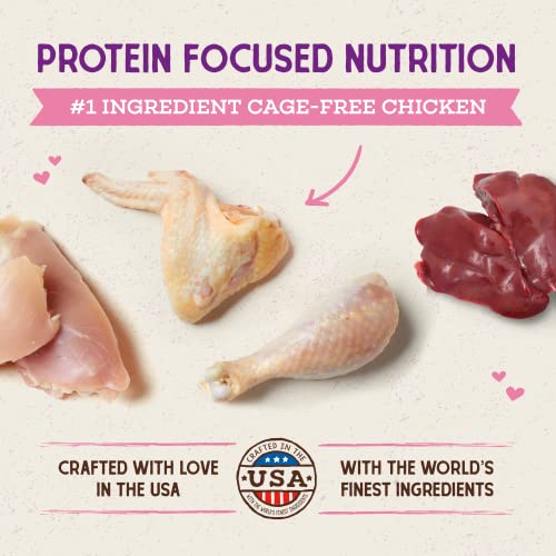 Kitten Nutrition Made Easy with Irresistible Cage-Free Chicken | Stella & Chewy