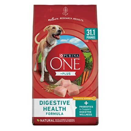 Purina ONE Probiotics Smartblend Digestive Health Cat Food