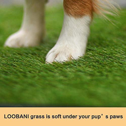 2 x Replacement Dog Pee Grass Pad with Tray for Medium & Large Dogs