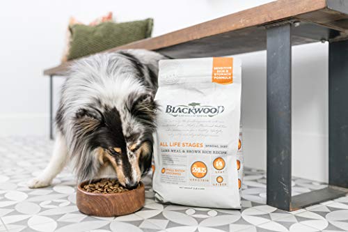 Blackwood Sensitive Pet Food for Your Furry Friend