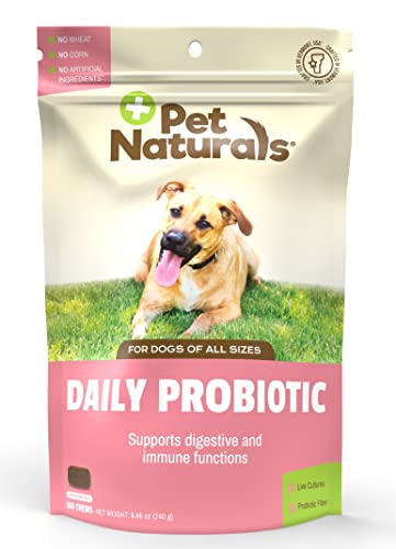 Daily Probiotics for Dogs | All Pet Natural's USA Made Chews