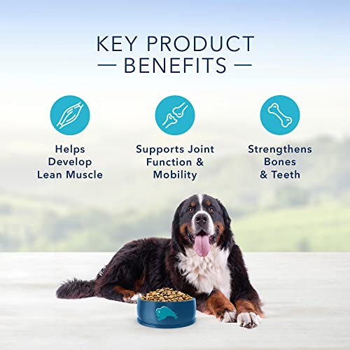 Blue Buffalo Dog Food – Natural Protection Formula