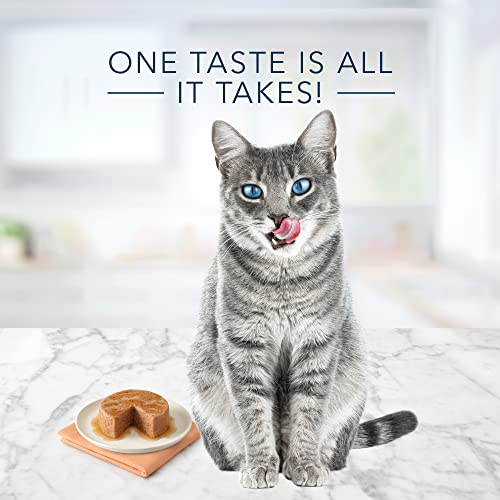 BLUE Tastefuls Natural Pate Wet Cat Food Variety Pack - Chicken, Turkey & Chicken & Ocean Fish & Tuna