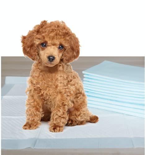 40 Count Absorbent Pet Pads - Quick-Drying & Leak-Proof