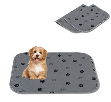 Reusable Dog Pads - Super Absorbent & Leakproof | Non-Slip Bottom