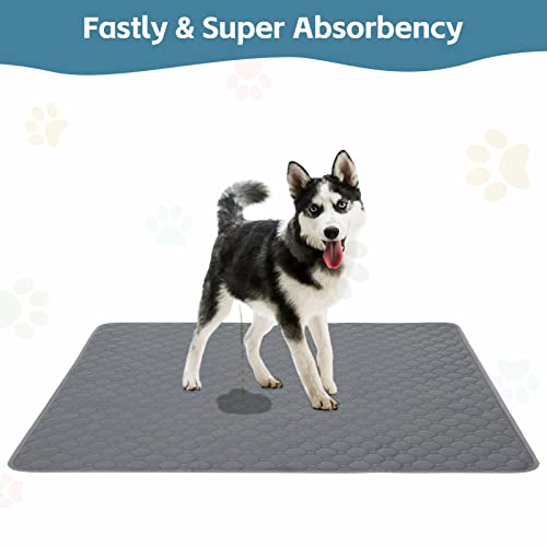 Reusable Pet Pads - 4 Layer Protection, Highly Absorbent & Non-Slip