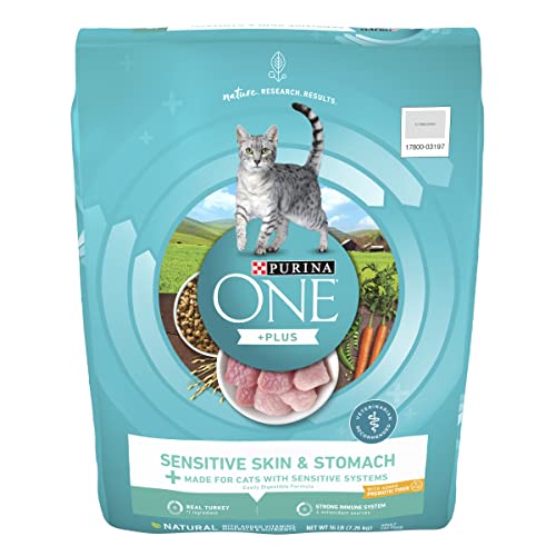 Buy Purina ONE Cat Food for Sensitive Skin & Stomach | 16lb Bag