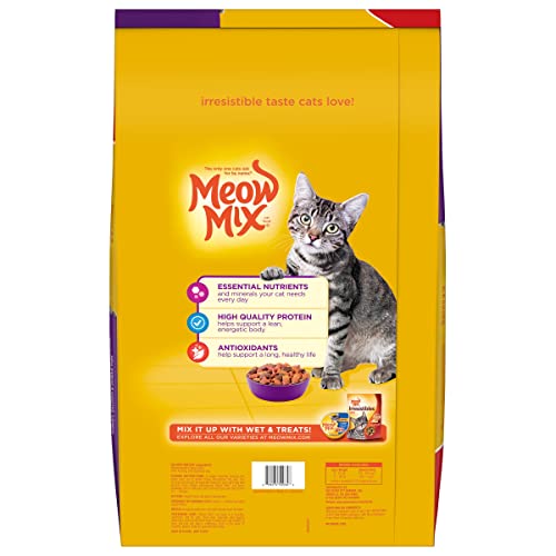 22 Pound Bag of Dry Cat Food | High Quality Protein & Vitamins for Your Cat