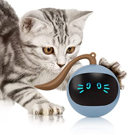 "Cat Toys: Safe and Durable, Interactive & Automatically Turns Off After 3 Mins of Playing"