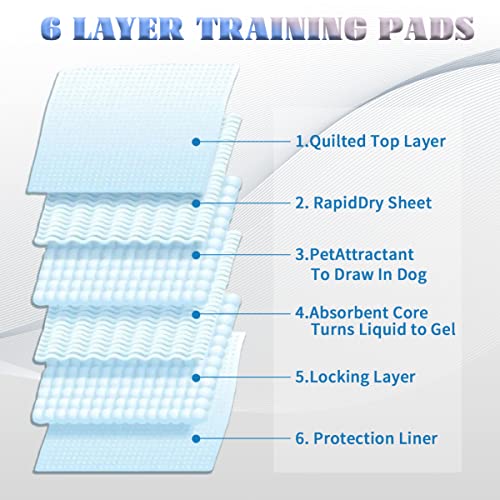 PETSCLUB Dog Training Pads - Super Absorbent & High Quality Material