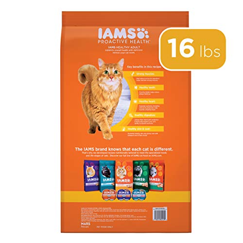 Nutrient-Rich IAMS PROACTIVE HEALTH Healthy Adult Dry Cat Food with Salmon