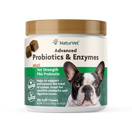 Advanced Probiotics & Enzymes for Dogs - Optimal Support & Taste