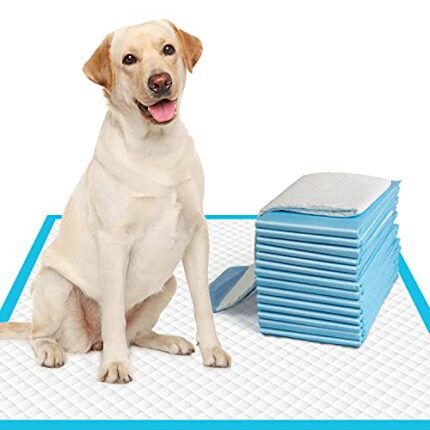 Super Absorbent & Thicker Dog Pee Pads | Leak-Proof Protection