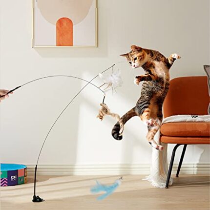 Cater to Your Kitten’s Exercise Needs with Interactive Cat Feather Toys