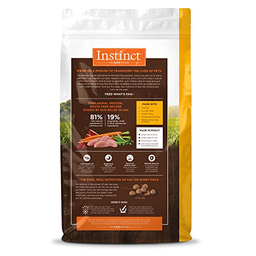 Buy Natural Grain Free Cat Food with Cage Free Chicken | Instinct