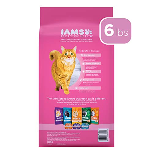 IAMS PROACTIVE HEALTH Adult Dry Cat Kibble with Turkey - 6 lb Bag