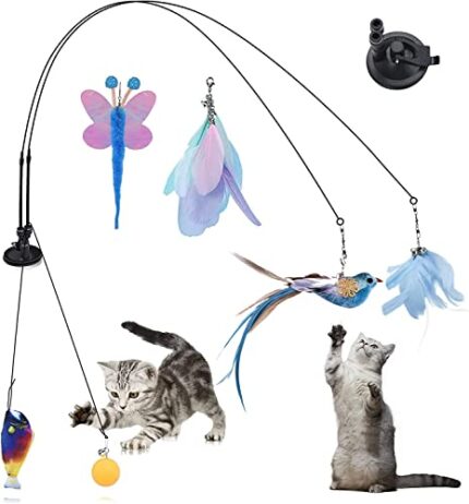 Enhance Relationship with Kitten & Enjoy Self-Entertainment | Cat Feather Toys