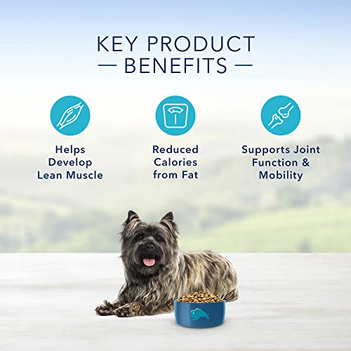 Blue Buffalo Protection Formula Dog Food - Natural Nutrition for Your Dog