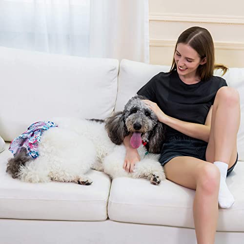 Premium Dog Diapers for Heat Cycle | Biurop