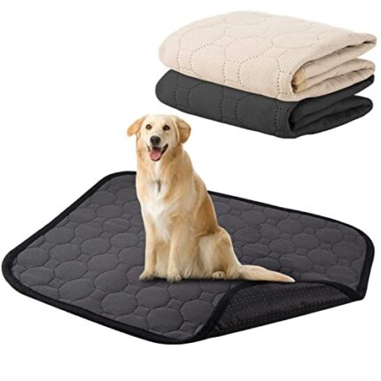 High Quality Reusable Pet Pee Pads | Training Pads for Dogs