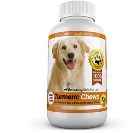 Give Your Pet a Healthy Boost: Pet Treats, Turmeric Curcumin & Dog Supplements