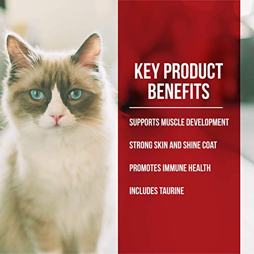 All-Natural Cat Food: Fussie Cat Market Fresh, High Protein Diet