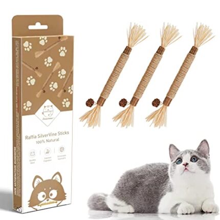 100% Natural Silvervine Sticks for Cat Teething & Happiness