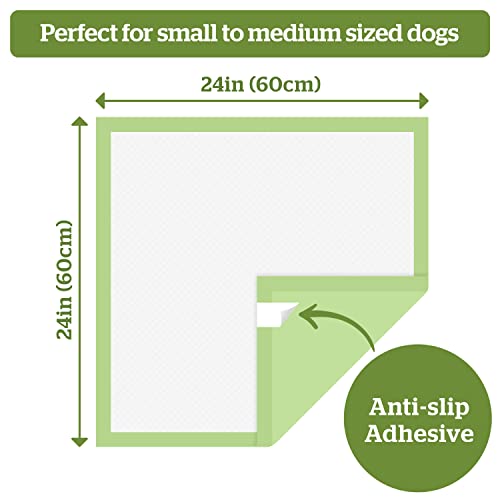 Earth-Friendly Puppy Potty Pads | Bamboo Fiber & Plant-Based | Pogi's