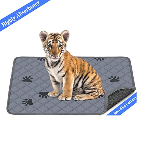 Dog Pee Pads - Highly Absorbent & Urine-Traceless | 6 Sizes Available