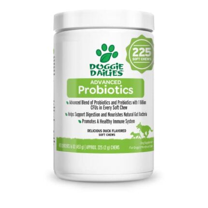 Help Your Pup Stay in Peak Condition with Probiotic Chews for Dogs