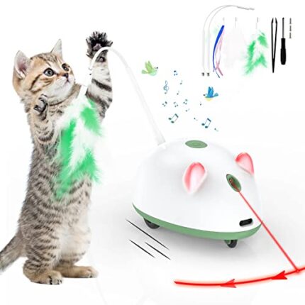 Upgrade Your Cat's Playtime with Bumfey's 4 in 1 Interactive Cat Toy