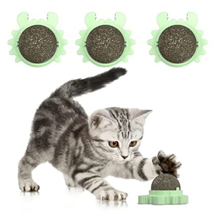 Natural Catnip Ball for Cats | 360° Rotatable Design | Keep Kitten Healthy & Teeth Cleaning