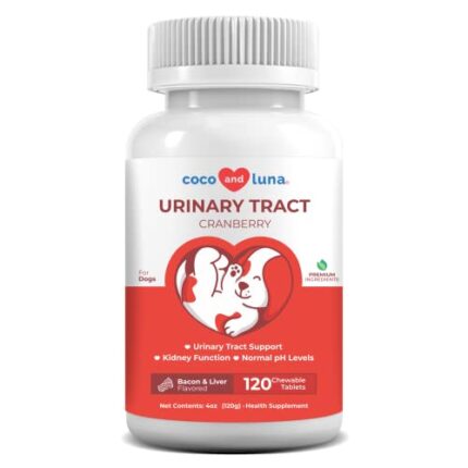 Natural UTI Treatment for Dogs with Kidney Function Improvement