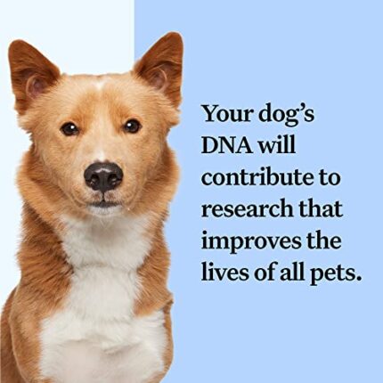 Get Accurate Breed Information & Ancestry With the World’s Most Precise Dog DNA Test