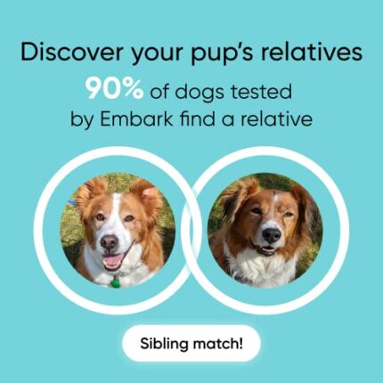 Embark Dog DNA Test - Highest Rated & Most Trusted