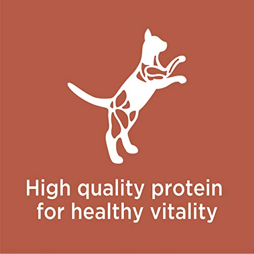 IAMS PROACTIVE HEALTH High Protein Dry Cat Kibble with Chicken and Salmon